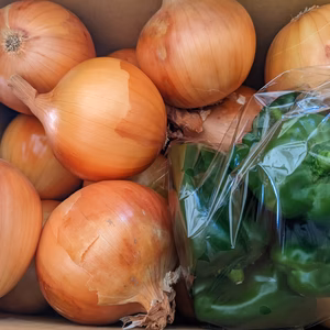 淡路島玉ねぎ＆ピーマン