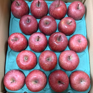 家庭用サンふじ