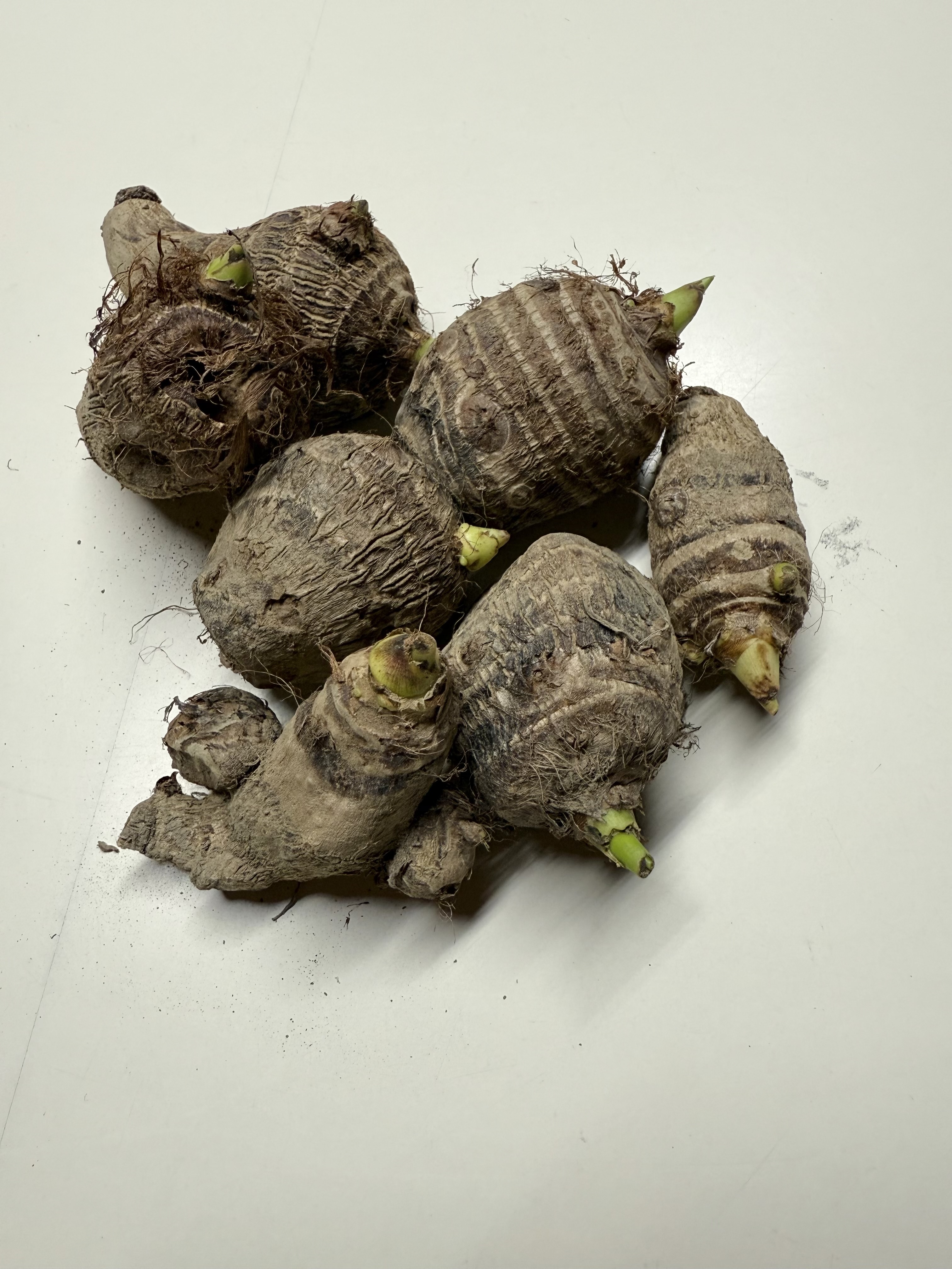 koko ふっくら里芋大きめ15kg CO・OP ムダなく使った国産粗むきさといも 250g｜商品