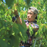 熊谷拓也 | くまちゃん農園