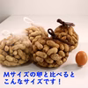 【先行予約 レシピ付】あんばい農園の自然栽培 生落花生【千葉食のブランド受賞】