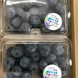 【天然のアイスの実♡】【大粒・完熟】冷凍ブルーベリー (250g×２パック)