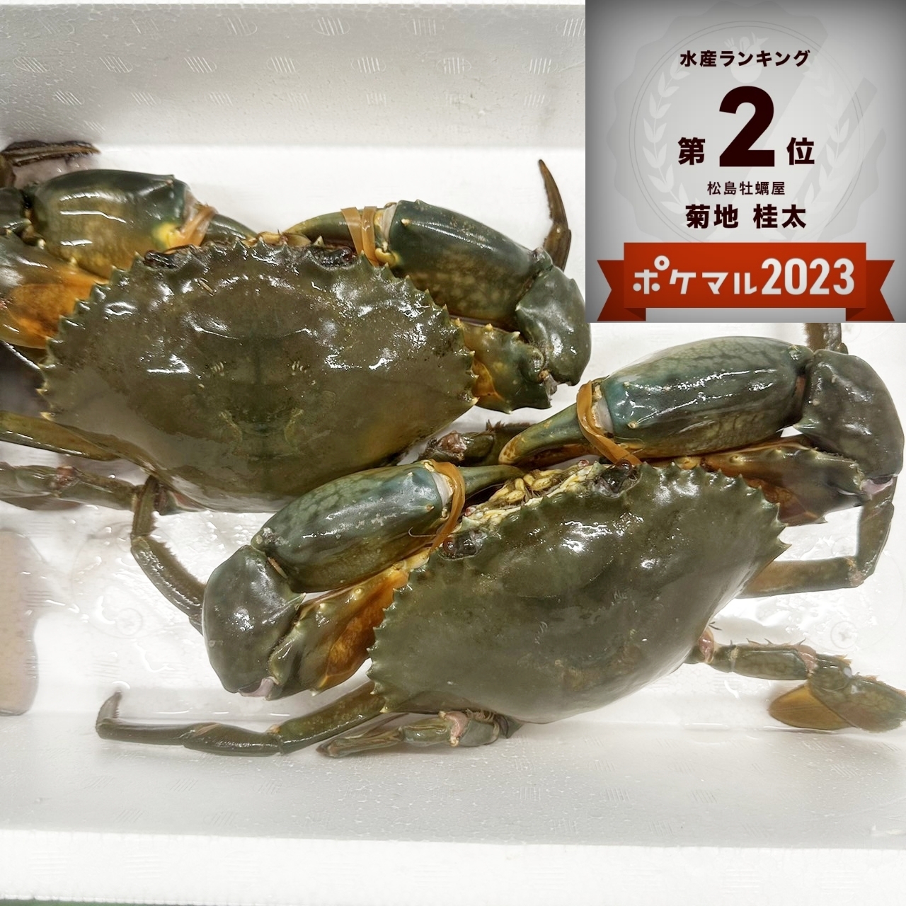 １個だけ限定商品】オス かいい 約0.5kg 高級ノコギリガザミ ドウマンガニ のこぎりがざみ 急速