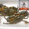 １個だけ販売 ノコギリガザミ　ドウマンガニ 急速冷凍品 約1330g