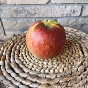 甘さギュっとつまった 木村農園　謹製　葉とらずシナノスイート