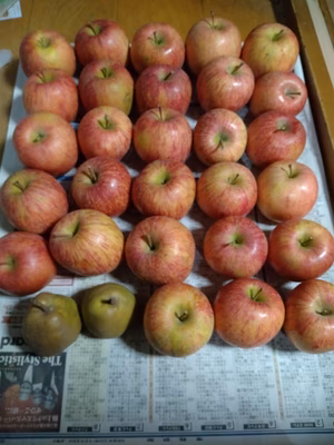 みんなの投稿の画像