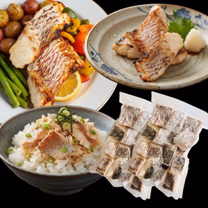 【父の日ギフト】沼津産真鯛　切り身 30g×20切れ