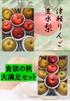 甘さあふれる旬 梨とりんご セット 満足 秋感じる一品   冷蔵発送