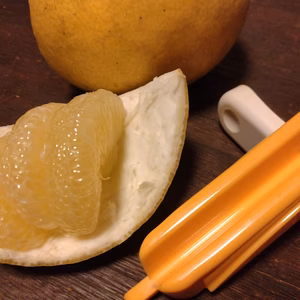 土佐文旦【農薬・化学肥料 不使用】皮むき器 付