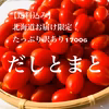 北海道お届け限定！【訳あり】だしとまと