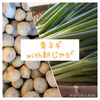 【限定】新じゃが付き！ねっこ農園の青ネギ