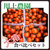 ✨大箱✨【川上農園】4種食べ比べセット　ミニトマト　2.2kg 茨城県産
