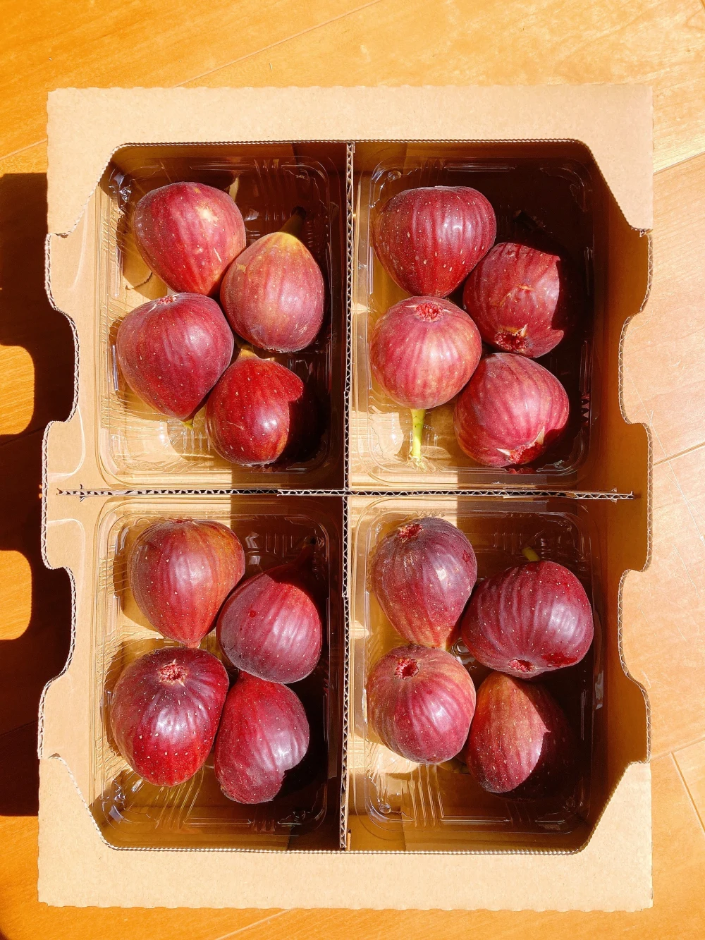 【今シーズンの食べ納め❤︎】生でパクリ！朝採り完熟いちじく