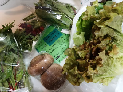 みんなの投稿の画像