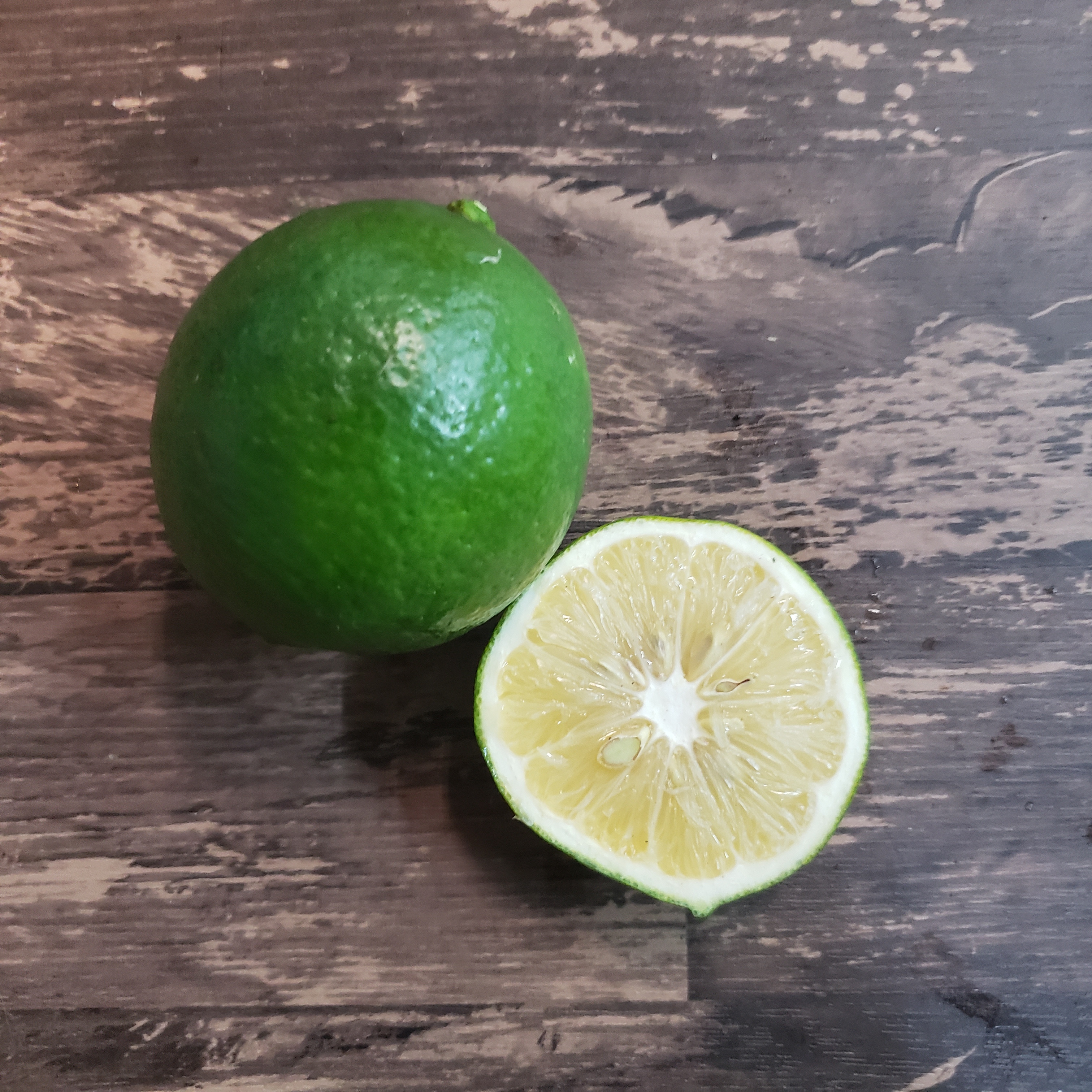 レモン4種類の食べくらべセット 箱込2㌔とおまけつき 週末限定 | 農家漁師から産地直送の通販 ポケットマルシェ
