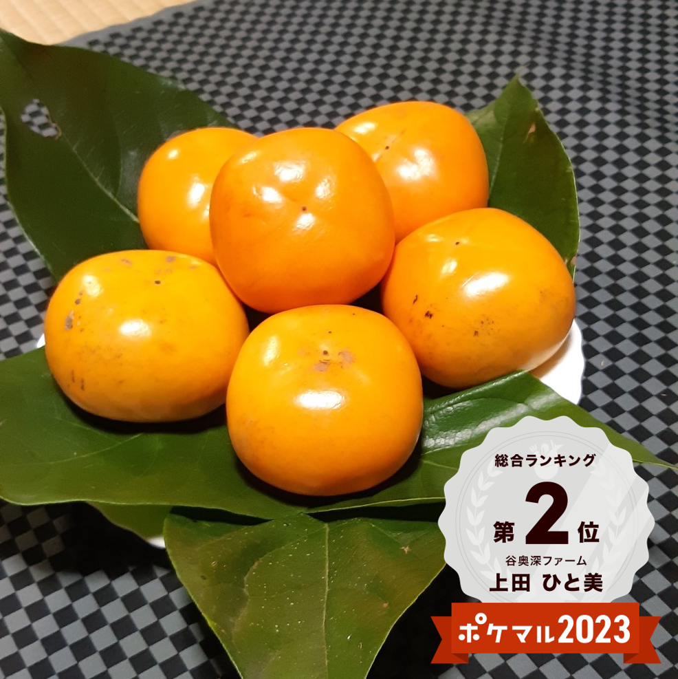 秋来る たねなし柿 (箱込み5kg以内・約24〜30個入り・ご家庭用) 谷奥深産 ★北海道・沖縄・離島など(本州・四国・九州除く) 箱込み5kg以内