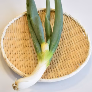 和らぎ農法　長ねぎ（SUKIYAKI）