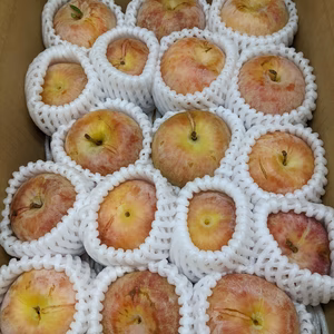 すもも訳あり現品限り