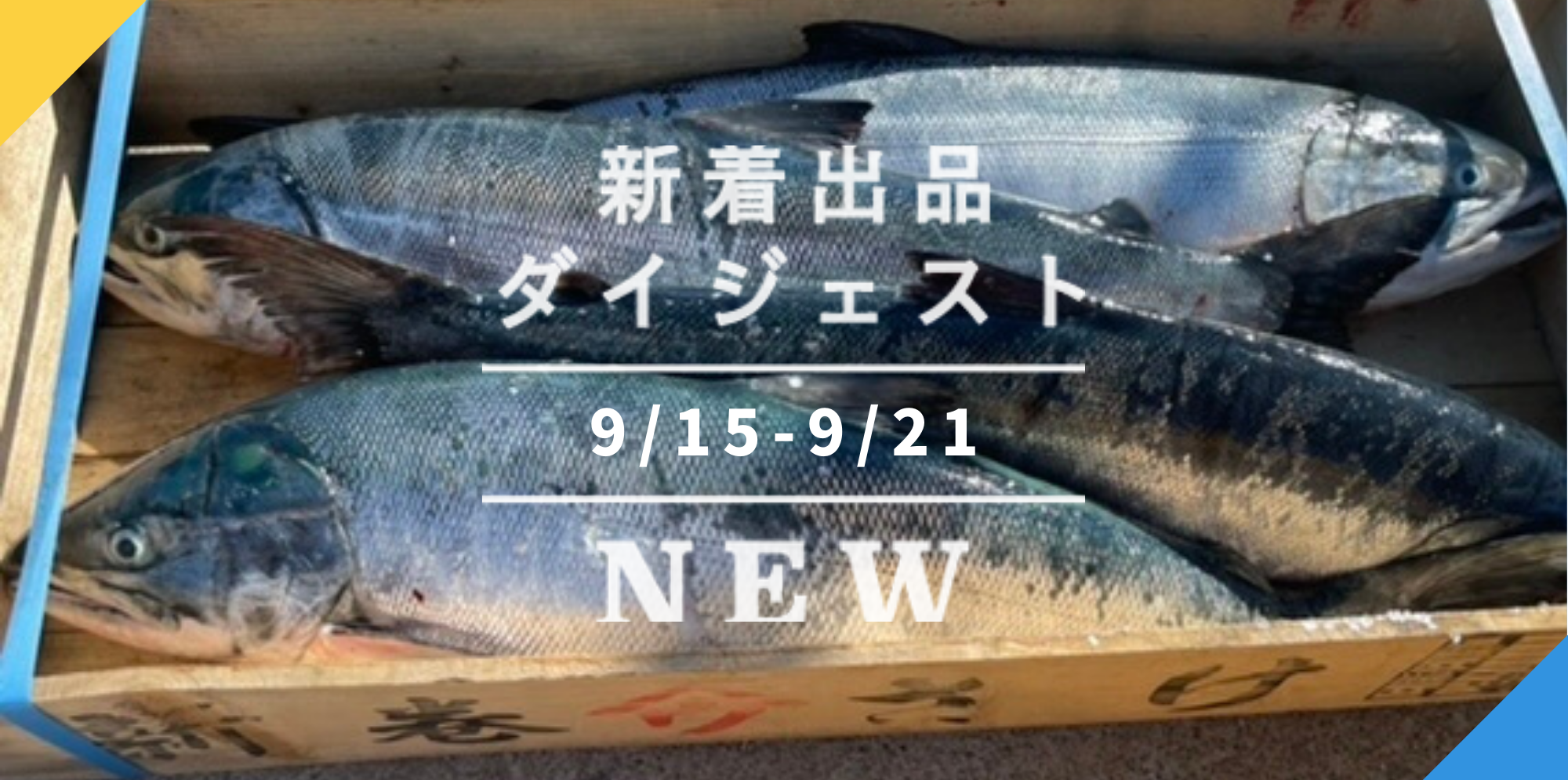 バックナンバー]捌けるかな？どーんと秋鮭🐟しっとりお芋＆農家激推し