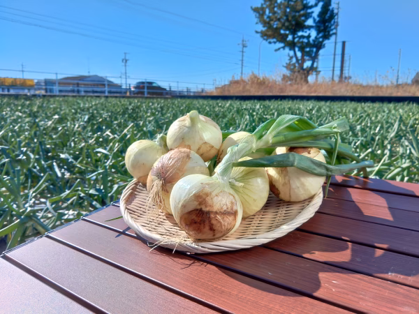 増田農園