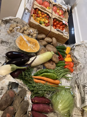 みんなの投稿の画像