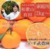 有田みかん（早生）｜家庭用2Kg～　農家直送｜和歌山｜有田｜田口｜こだわり