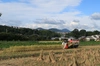 【令和1年産・新米】丹波篠山産コシヒカリ 15㎏ 特別栽培米 