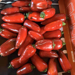 残りわずか　熊本産農薬不使用　肉厚赤ハラペーニョ  おまけに柚子、ニンニク付き