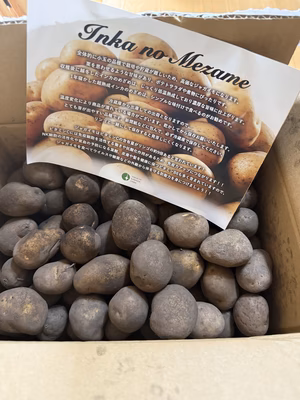 みんなの投稿の画像