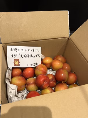 みんなの投稿の画像