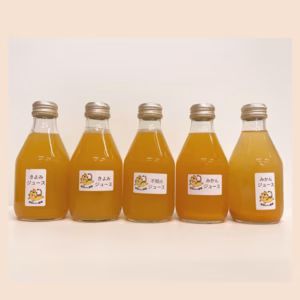 果汁100％！ 搾りたての柑橘ジュース　180ml×５本