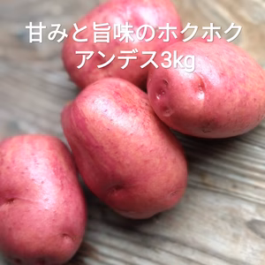 アンデスレッド　農薬不使用