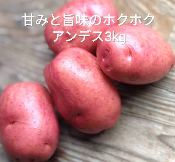 アンデスレッド　農薬不使用