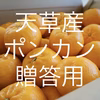 天草産ポンカン　ぽんかん　贈答用