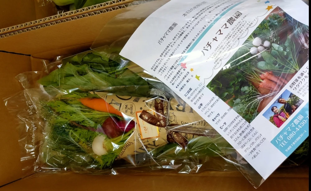 【父の日ギフト】ベジブーケと農園自慢の情熱野菜セット9品目☆野菜の花束　2023