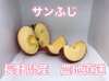 激安セール！　こだわりの蜜入り　サンふじ　家庭用　小玉　長野県産