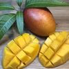 【夏ギフト】沖縄県産完熟マンゴー【優品約2kg】7月発送