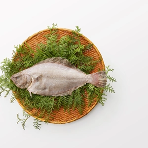 【ヒラメ】お刺身や煮つけに！長崎県産 ヒラメ 650~900g