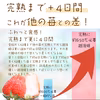 くせになる、ふわっと冷凍いちご500g　削りいちご