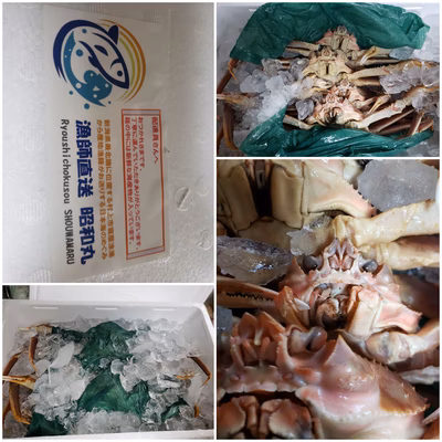 みんなの投稿の画像