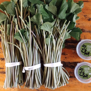 NEW！！！【リクエスト商品】茎わさび３束(1.2kg)と加工品２個セット
