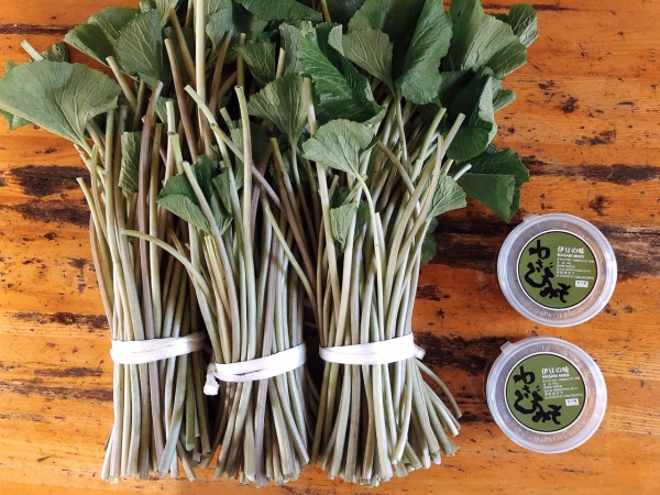 NEW！！！【リクエスト商品】茎わさび３束(1.2kg)と加工品２個セット
