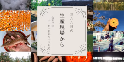 特大エビが手からはみ出てるよぅ😍11月前半の生産現場から