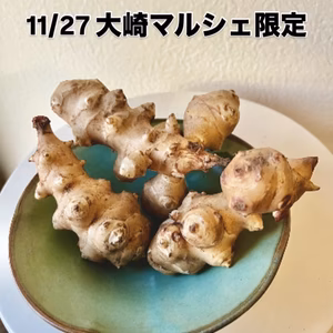 【11/27 大崎マルシェ現地受け取り】自然栽培　菊芋