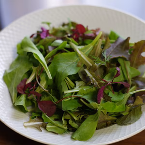 ベビーリーフとハーブミックス1キロ