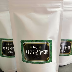 【農薬不使用ノンカフェイン】★パパイヤ葉茶