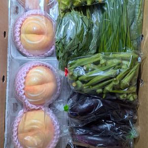 桃、ツルムラサキ、モロヘイヤ、ニラ穂、ナス、オクラ