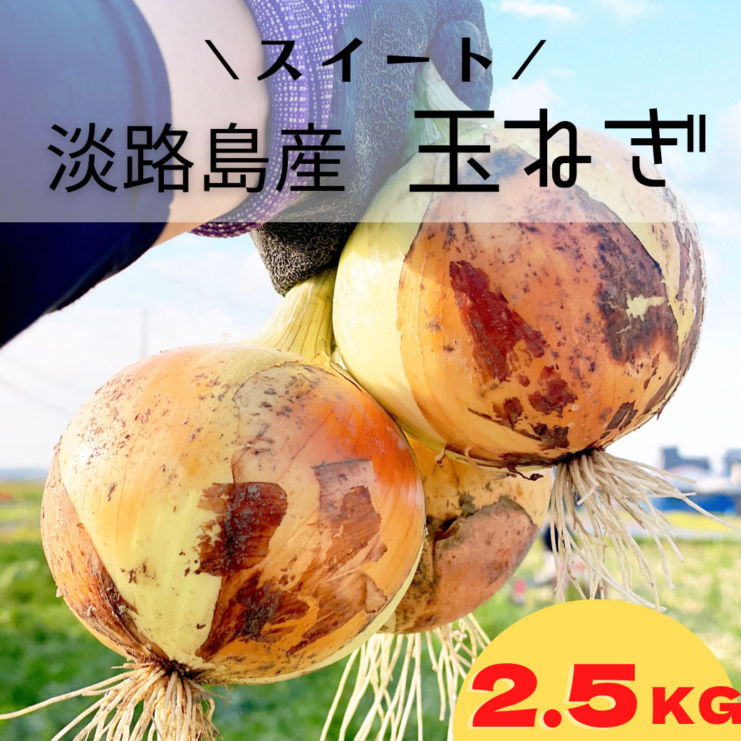 前年度完売/ 淡路島スイートオニオン 淡路島産玉ねぎ2.5kg 2.5kg 8玉前後