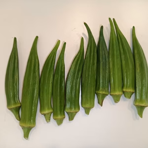 旬の野菜セット　６０サイズ