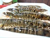 【冬ギフト】旨味と甘みがじわっと広がる新鮮な活車海老（京都府産）